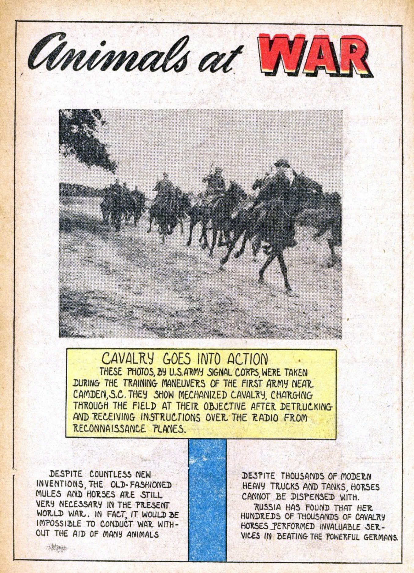 Blue Beetle (Fox / Dan Garrett), page 26. Blue Beetle (Dan Garrett). Public domain in the United States for Fox/Holyoke-era issues. Not Charlton or DC. Internet Archive folkscanomy scans used when Comic Book Plus returns 403.