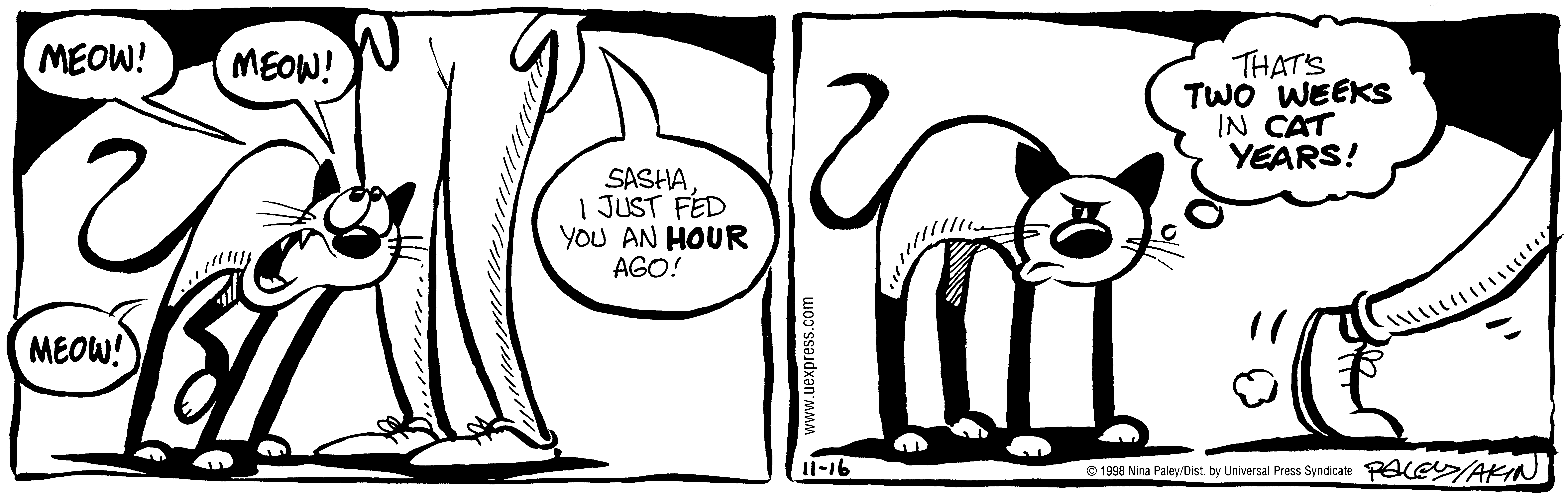 Fluff daily strip, Nov 16, 1998. Nina Paley, CC BY-SA 3.0 US. Print master from https://archive.org/details/FluffComicStrips (TIFF converted losslessly to PNG for the web).