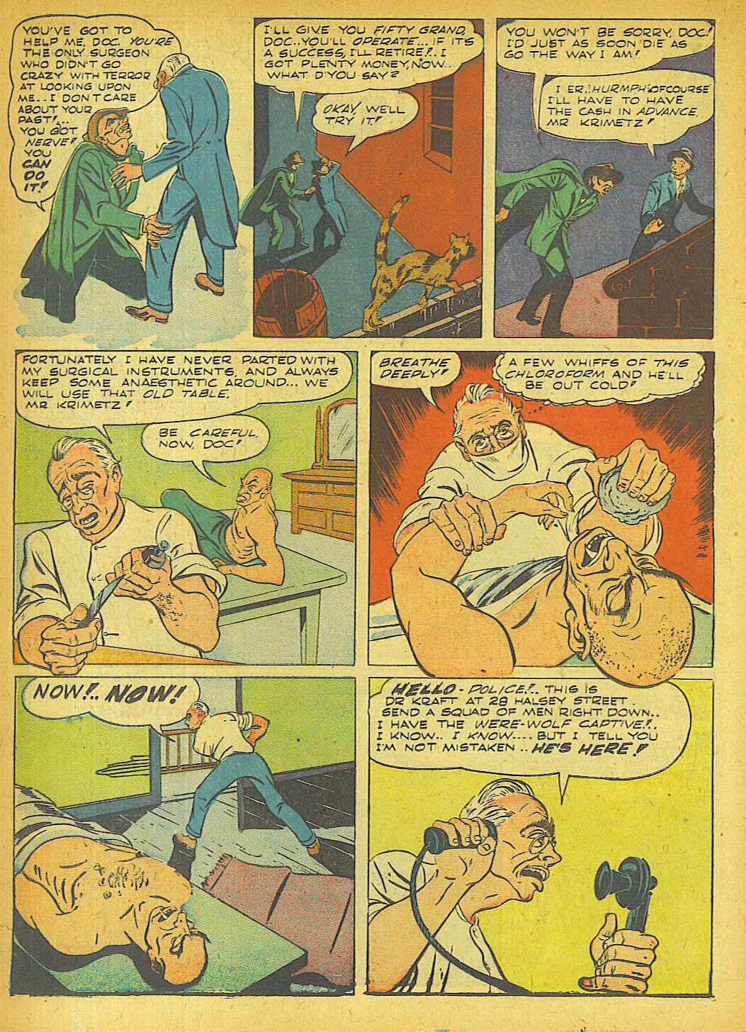 Four Favorites #5 page 38