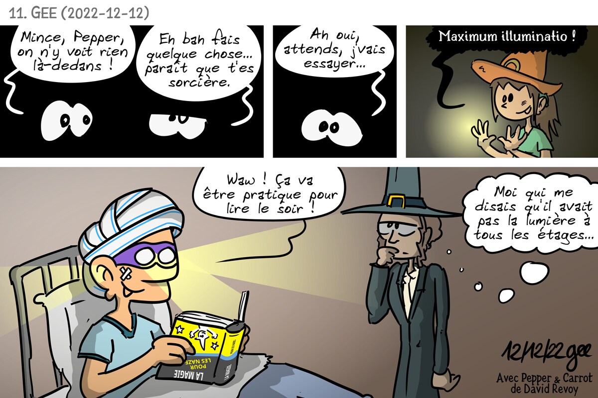 Pepper et Superflu page 11