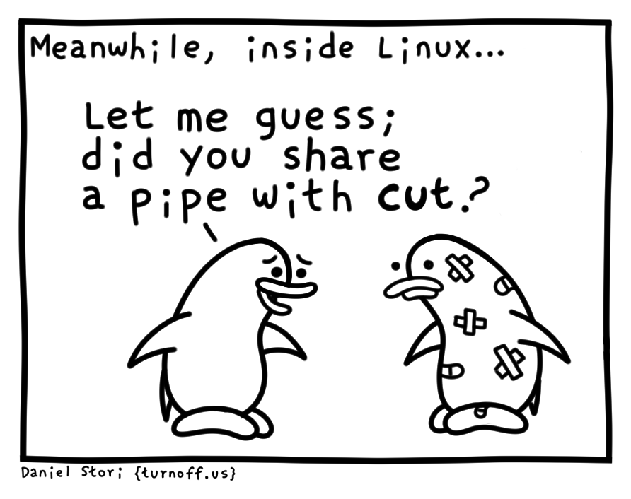 turnoff.us – don't share a pipe with cut (2024-04-21). Daniel Stori, CC BY-NC-SA 4.0. https://turnoff.us/geek/linux-cut-command/