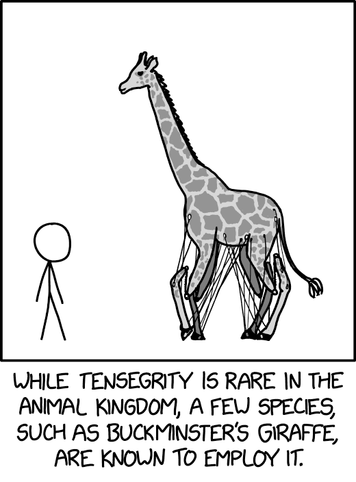 Some people argue that the tension and compression in the human skeleton is technically tensegrity, but it's missing the defining characteristic: making people say 'wtf, how is that thing floating?' when they see it.