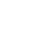 The County Library