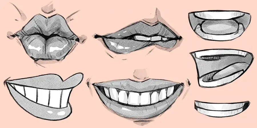 Handbook drawing anatomy