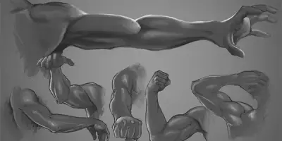 일러스트레이터를 위한 인체 팔 해부학 마스터하기